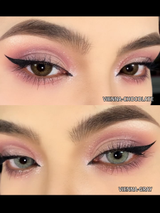 Eyeshare 2pcs VIENNA Gray/Chocolate Contact Lenses Natural Color Contacts Bigeyes 14.5mm