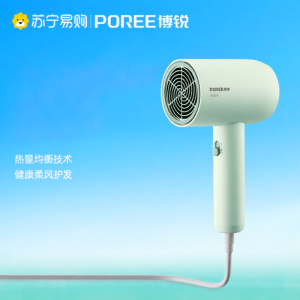 Phoebe Borui High-Speed Hair Dryer Powerful Wind Student Dormitory Home Use Hair Care Electric Blow Dryer for All Hair Types
