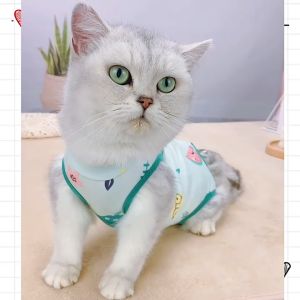 jumsuit ngừa rụng lông / Quần áo cai sữa - hỗ trợ phục hồi vết thương sau khi phẫu thuật - T3 PETS SHOP