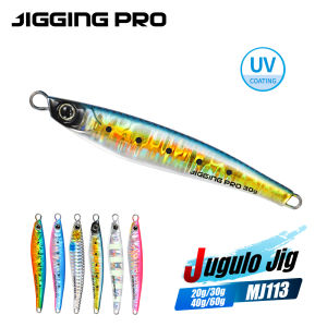 JIGGING PRO Jugulo Jig 20g 30g 40g 60g Casting Jig Shore Metal Jig Lure Saltwater Fishing Tackle