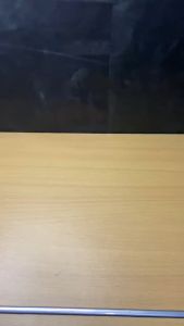 Sarung Tangan Taktikal Sensitif: Pilihan Terbaik Untuk Aktivitas Outdoor & Sehari-hari