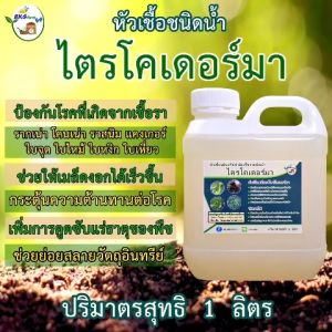 ไตรโคเดอร์มา หัวเชื้อชนิดน้ำ หัวเชื้อจลินทรีย์กำจัดเชื้อรา