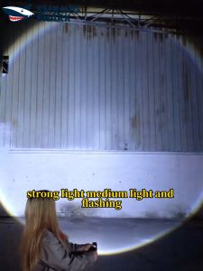 SMILING SHARK SD5353 LED Torch Light: A Super Bright M60 5000LM 3Mode Type-c Rechargeable Flashlight