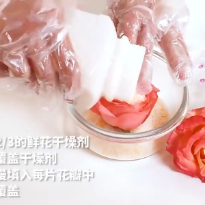 500g Silica Sand Desiccant Non-Toxic Silica Gel Sand Reusable Silica Gel Sand For Flower Drying