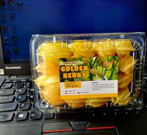 Buah Ciplukan Fresh 100 Gram - Goldenberry atau cecendet