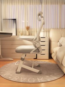 Comfortable Home Office Computer Chair Ergonomic Backrest Learning Esports Chair Study Desk Seat Modern Style Non-Adjustable Backrest