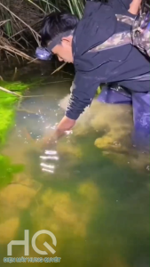 Kẹp Đa Năng Gậy Bắt Rắn Lươn Chạch Cá – Chất Lượng Cao An Toàn Có Khóa Chốt Gập Đôi Tiện Lợi 75cm 1m 1.2m 1.5m 2m