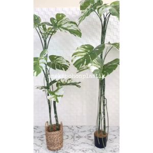 Pohon Artificial Pohon Hias Monstera Variegata T170 & T190 Latex Pot Dasar Hitam Cover Eceng Gondok Handle Hiasan Ruangan Cafe Kantor Aesthetic