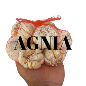 Bawang Putih Super 1kg dan 500gr Segar Murah Packing Aman