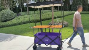 Stall Trolley Height Adjustable and Foldable Outdoor Dolly Night Market Stall