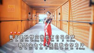 Flashdisk 32Gb Isi 200 Lagu MP4 Mandarin HD Pilihan Terbaik 2025 Untuk Mobil Volume 3