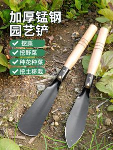 Stainless Steel Mini Shovel: The Ultimate Special Horticulture Tool