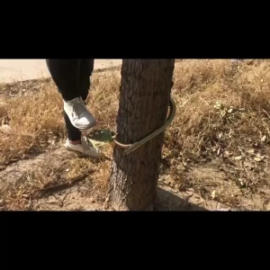 (กทม.จัดส่ง)อุปกรณ์ปีนต้นไม้ รองเท้าปีนต้นไม้.เครื่องมือปีนต้นไม้ / เครื่องมือปีนเสา เข็มขัด นิรภัย ปีนเสา