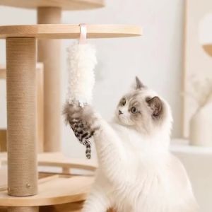 Funny Wool Feather Cat Toys Interaction Feathers Chew Molars Bite Resistance Puppy Kitty Toy Cat Teaser Pet Supplies Accessories