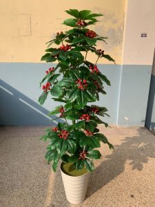 Cây kim ngân lượng giả - Size từ 70cm đến 160cm - Cây giả hoa lụa Decor trang trí nhà cửa