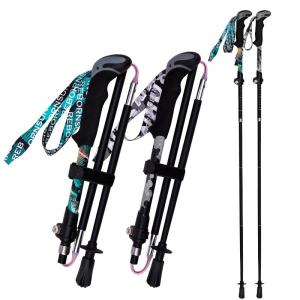 Rebornsun | Foldable Carbon Fiber Lightweight Trekking Pole