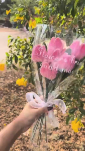 ช่อดอกไม้กำมะหยี่ ดอกทิวลิป7ดอก🌷