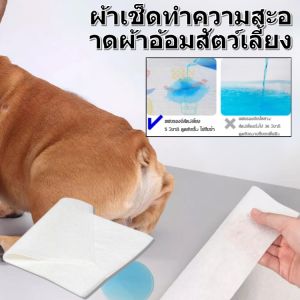 【ดับกลิ่น 100% แผ่นเดียวซับ 0.5 กก.ได้】 แผ่นรองซับปัสสาวะสัตว์เลี้ยง
