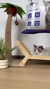 【พร้อมส่ง】ทรายแมวเบนโทไนท์ 5/10 ลิตร bentonite cat litter 5 L/7L/10L ลิตร ดับกลิ่นได้ดี Lavender/Lemon/Charcoal/Coffee/Green Tea Scent