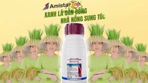AMISTAR TOP® 325SC XANH LÁ OẰN BÔNG Phòng Ngừa Bệnh Đốm Vằn Lem Lép Hạt Chai 250ml