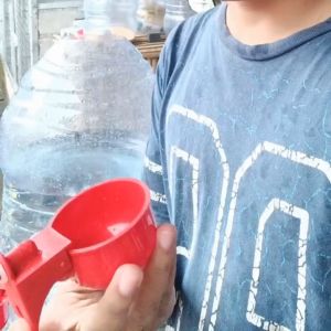 Nipple Ayam Model Cangkir & Alat Minum Burung Otomatis