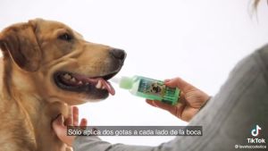 Gel sạch cao răng trị hôi miệng trắng răng không cần bàn chải cho chó mèo Tropiclean 59ml xuất xứ Mỹ