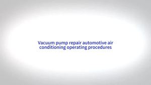 DEKES 5Pa Rotary Miniature Vane 50HZ Vacuum Pump Rotary Vane Vacuum Pump 1/4hp VP115 Single Stage