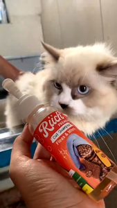 Holycatlabs Shampoo Riich 100 ml | Shampo Kucing Anti Kutu Jamur Menghaluskan dan Melembutkan Bulu Riich Shampoo Premium Sampo 100 ml