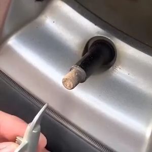 2/4/8 Pcs Tutup Pentil Ban Mobil Motor Tutup Pentil Ban Glow In The Dark Luminous Dengan Logo