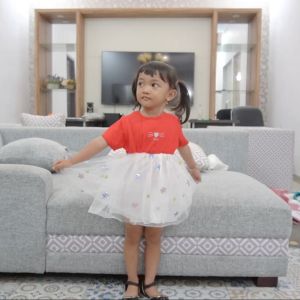DRESS ANAK DRESS TUTU BAYI PEREMPUAN G-2 / GAUN IMPORT MOTIF POLOS USIA 2 BULAN -3 TAHUN / DRESS ANAK KOREA LUCU / BAJU ANAK PEREMPUAN
