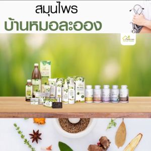 บ้านหมอละออง สมุนไพร ริดเฮิร์บ ชนิดแคปซูล หยุดริด! Rid Herbs หมอละออง By 4youthailand