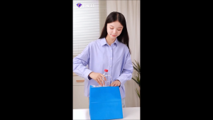 Kraft Paper Bag Gift Bag Colours with Handles Birthday Party Goodie Bag Paper Bags for Gift (Plain)