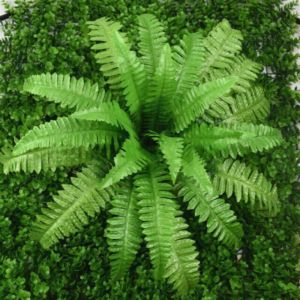 Dương xỉ trang trí - Dài 25cm - Đường kính 50cm - Cây giả hoa lụa Decor trang trí nhà cửa