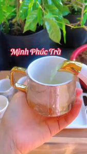 (Combo 10 gói) Trà Thái Nguyên Loại Đặc Biệt-mỗi gói 100g