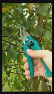 Gunting Dahan Bengkok + Tali / Ranting Bunga Gunting Tanaman Steanless Pruning Shears