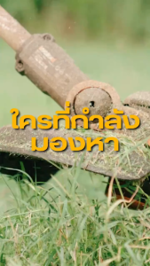 เครื่องตัดหญ้าสะพายบ่า 4 จังหวะ SWING รุ่น SW-340M (1 ชุดมี 2 ชิ้น) รับประกันสินค้า 6 เดือน By mcmach021