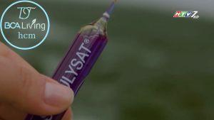 Phyco santé bcalivinghcm sự kết hợp của phycocyanin & selen loại bỏ gốc tự do gấp 5 lần hoạt chất Phyco Spirulysat tăng sức khỏe tốt