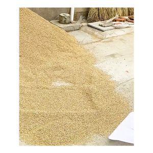 G44 Xẻng Nhựa Xúc Gỡ Đại Loại 1 Siêu Bền GA625