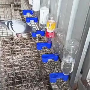 5Pcs Bird Waterer Plastic Parrot White/Blue Pet Bird Drinker Feeder Water Bottle Cup