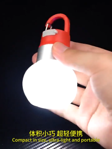 Hanging Tent Light Rechargeable Detachable Bottle Cap Light Camping Tent Lantern for Camping Hiking Backpacking Fishing