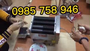 MÁY LÀM TRÂN CHÂU TƯƠI DZ20 - MÁY VO VIÊN TRÂN CHÂU BỘT NGHỆ THUỐC ĐÔNG Y