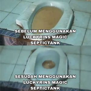 SERBUK PENGURAS WC MAMPET