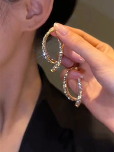 Luxurious Crossbody Fish Tail Earrings for Women Trendy 2023 Design Feeling Lightweight Autumn Winter Jewelry