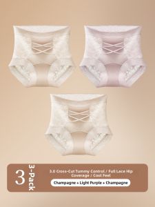 DREAM TIME | Attractive Lace High Waist Tummy Control Briefs