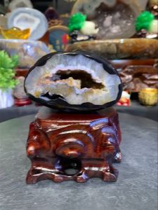 #johorbahru #crystal #agate 深美💯天然黑玛瑙钱袋子 黑皮金肉🫰金黄色爆花晶体 左侧底部还有一个满天星异象结晶✨ 非常稀少❤️收藏 附送实木底座🆓  玛瑙高raw height: 6.5cm  宽raw width: 10cm x 5cm  净重raw weight: 0.42kg 含底座高total height: 13cm  底座宽total height: 10cm x 8cm  总重totalweight: 0.8kg  📍Johor Bahru 区可自行取货或邮