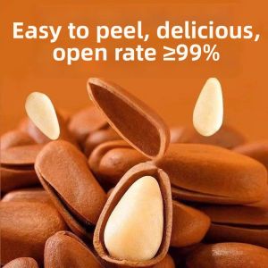 Extra Large Opened Roasted Pine Nuts 500g