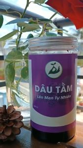 Dâu tằm lên men tự nhiên