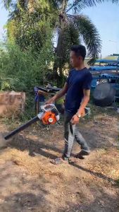 เครื่องเป่าใบไม้ดูดใบไม้ชนิดเครื่องยนต์ STIHL BG-50