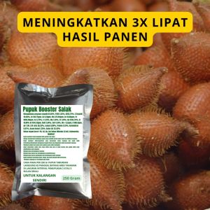 Pupuk Booster Salak / Obat Booster Buah Salak / Pupuk Booster Buah Salak / Pupuk Buah Salak