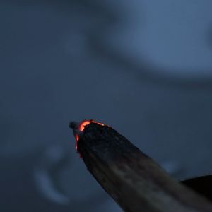 Combo Gỗ Trắc Xanh Palo Santo Đá Selenite Xông Nhà Thanh Tẩy Không Gian